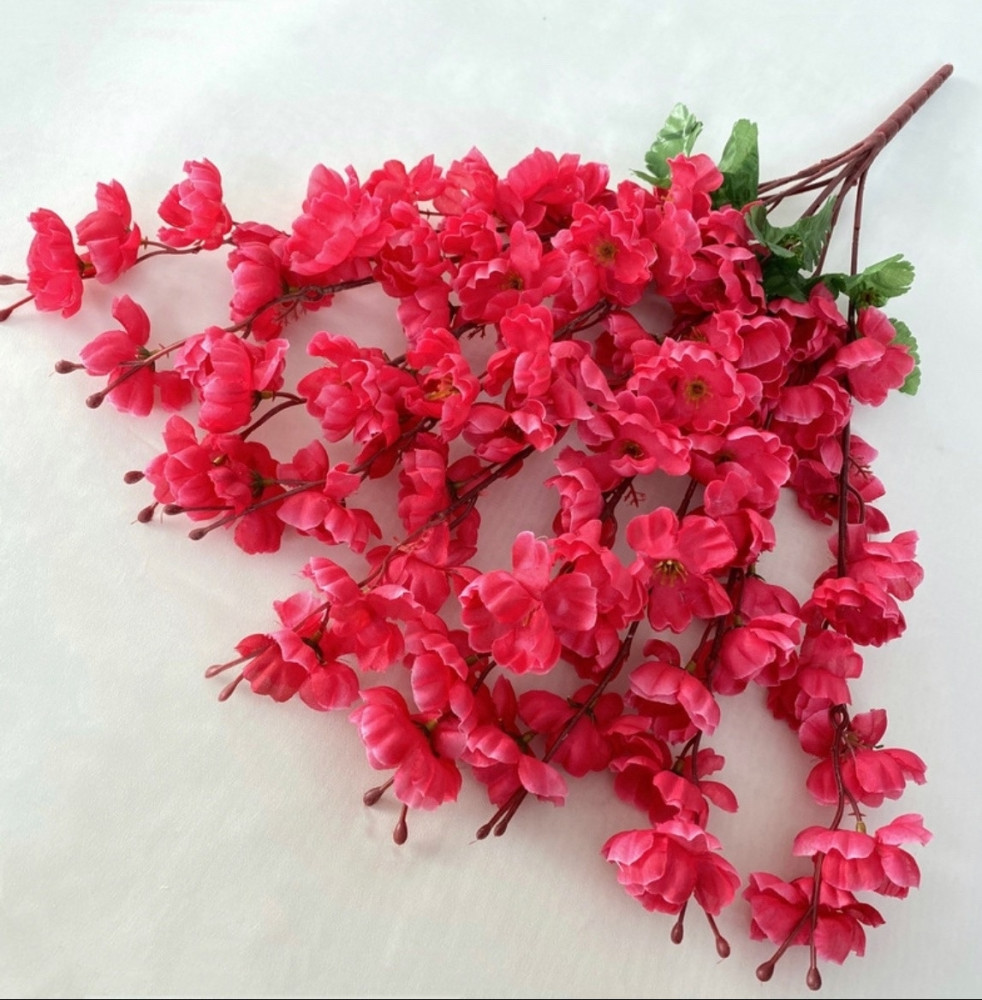 цветы купить в Интернет-магазине Садовод База - цена 1400 руб Садовод интернет-каталог