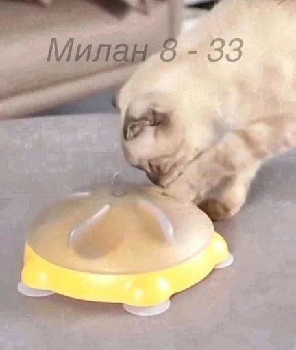 Кормушка Для Кошек САДОВОД официальный интернет-каталог