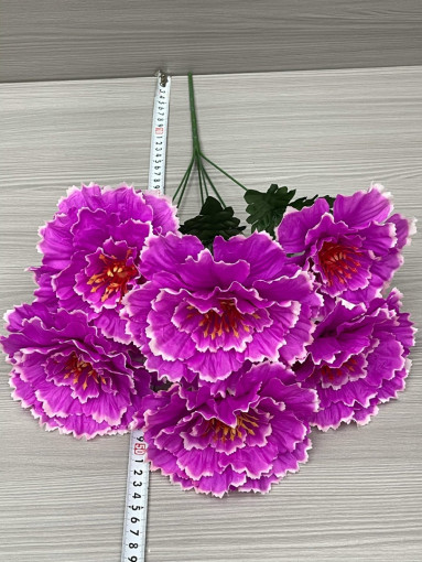 цветы САДОВОД официальный интернет-каталог