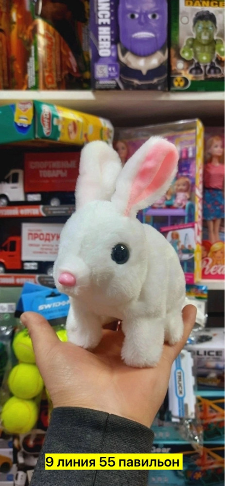 кролик купить в Интернет-магазине Садовод База - цена 200 руб Садовод интернет-каталог