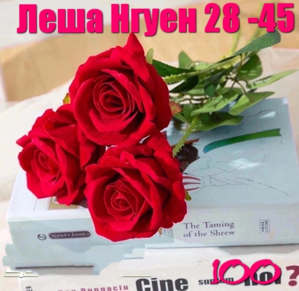 Упаковка  20 букет (один цвет) купить в Интернет-магазине Садовод База - цена 1200 руб Садовод интернет-каталог