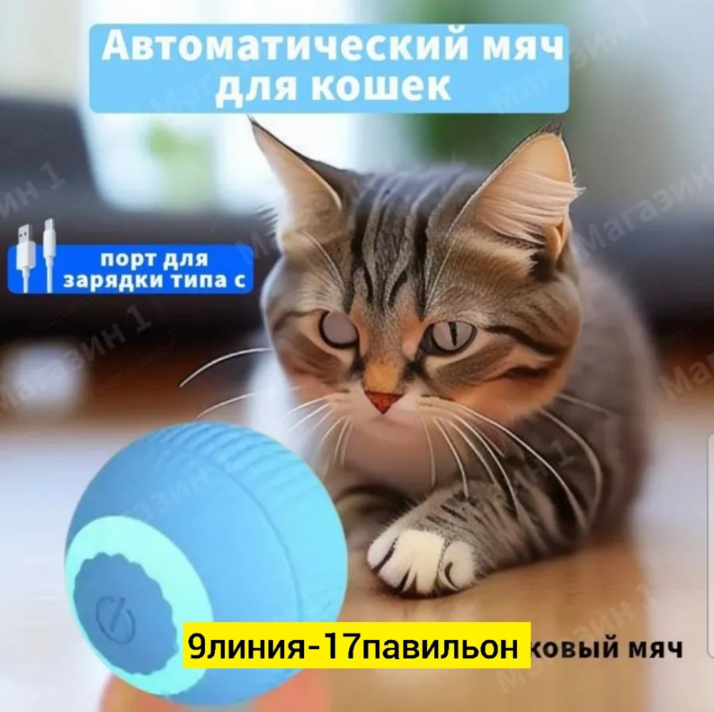 Интерактивная игрушка для кошек купить в Интернет-магазине Садовод База - цена 100 руб Садовод интернет-каталог