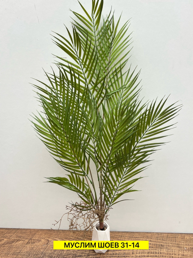 Искусственные цветы купить в Интернет-магазине Садовод База - цена 500 руб Садовод интернет-каталог