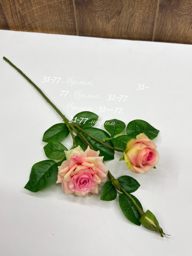 цветы купить в Интернет-магазине Садовод База - цена 6480 руб Садовод интернет-каталог