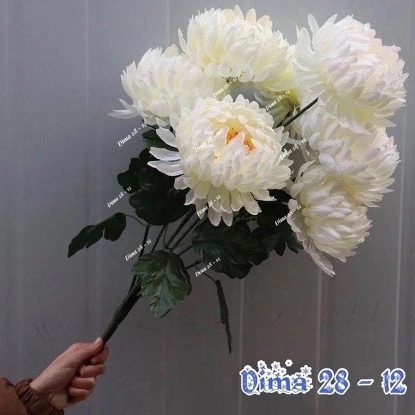 цветы купить в Интернет-магазине Садовод База - цена 1500 руб Садовод интернет-каталог