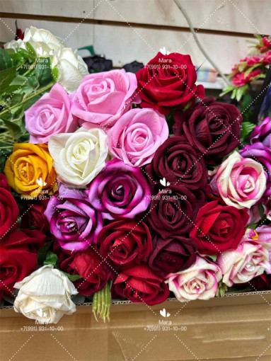 Роза цветная бархатная САДОВОД официальный интернет-каталог