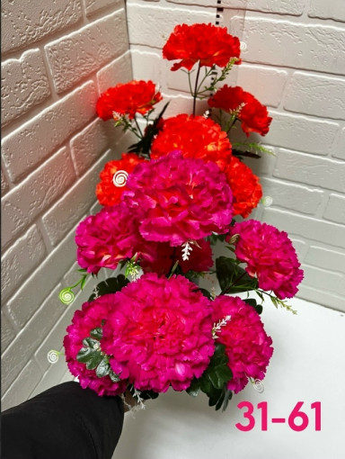 Название:«Гвоздика» (Новинка) Количество голов:7г САДОВОД официальный интернет-каталог