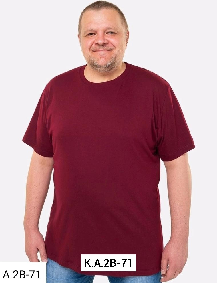 Мужская футболка бордовая купить в Интернет-магазине Садовод База - цена 250 руб Садовод интернет-каталог