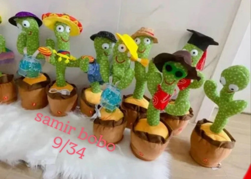 кактус плюшевый САДОВОД официальный интернет-каталог