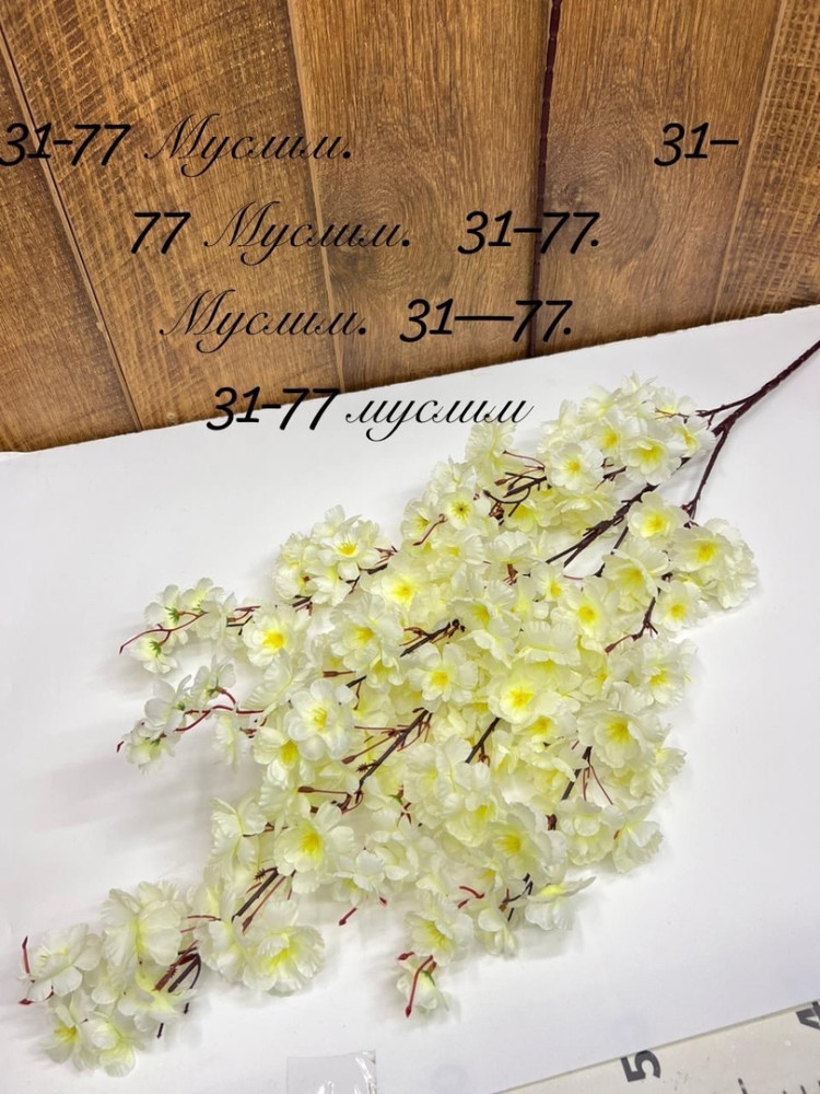 цветы купить в Интернет-магазине Садовод База - цена 4000 руб Садовод интернет-каталог