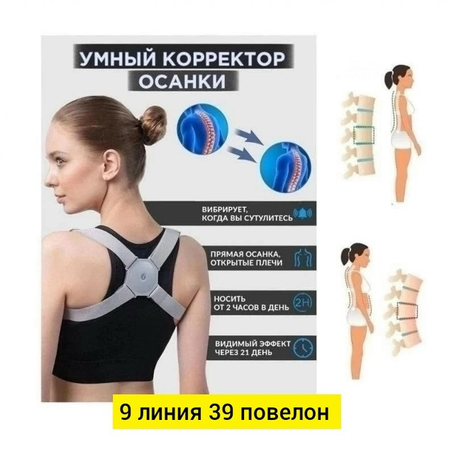 Ортопедический корсет купить в Интернет-магазине Садовод База - цена 170 руб Садовод интернет-каталог