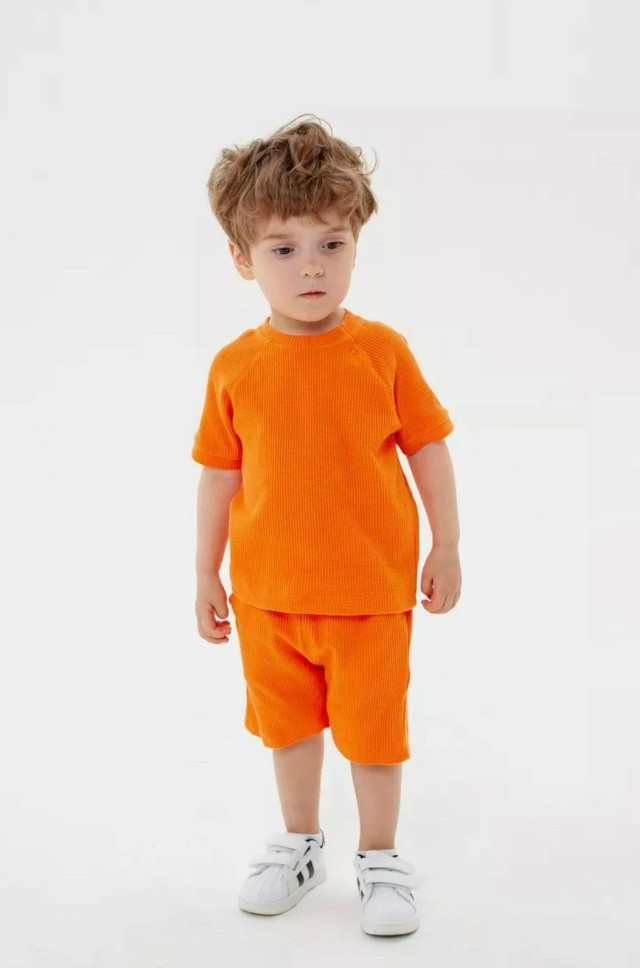 V-BGH2607210955 купить в Интернет-магазине Садовод База - цена 480 руб Садовод интернет-каталог