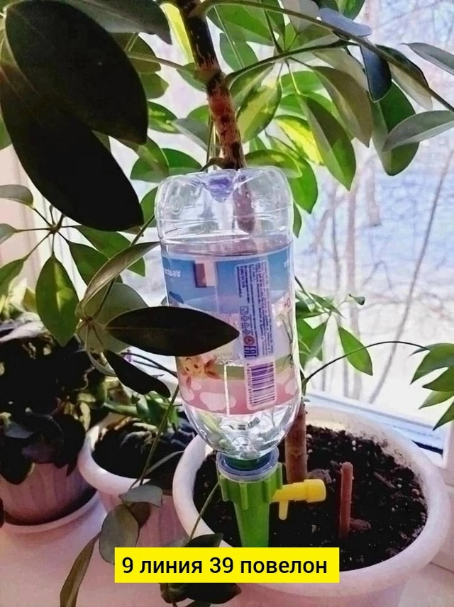 Автополив купить в Интернет-магазине Садовод База - цена 100 руб Садовод интернет-каталог