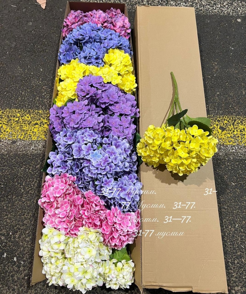 цветы купить в Интернет-магазине Садовод База - цена 10800 руб Садовод интернет-каталог