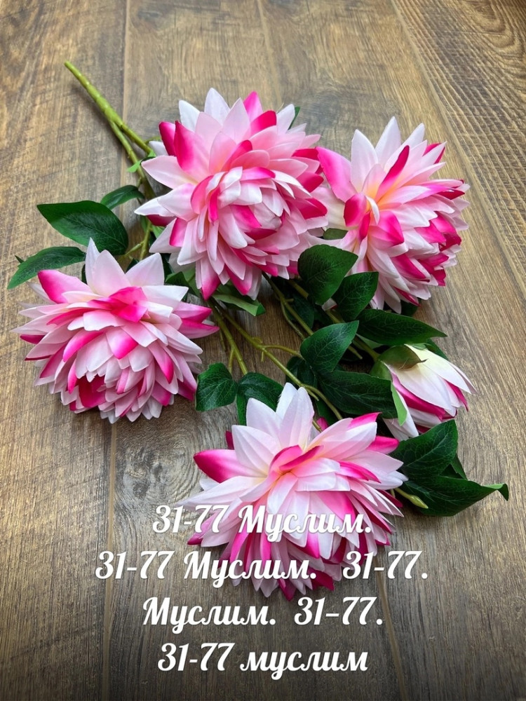 цветы купить в Интернет-магазине Садовод База - цена 3960 руб Садовод интернет-каталог