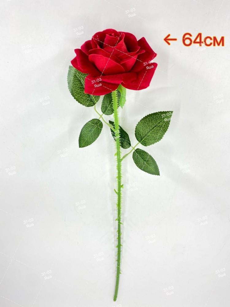 роза купить в Интернет-магазине Садовод База - цена 50 руб Садовод интернет-каталог