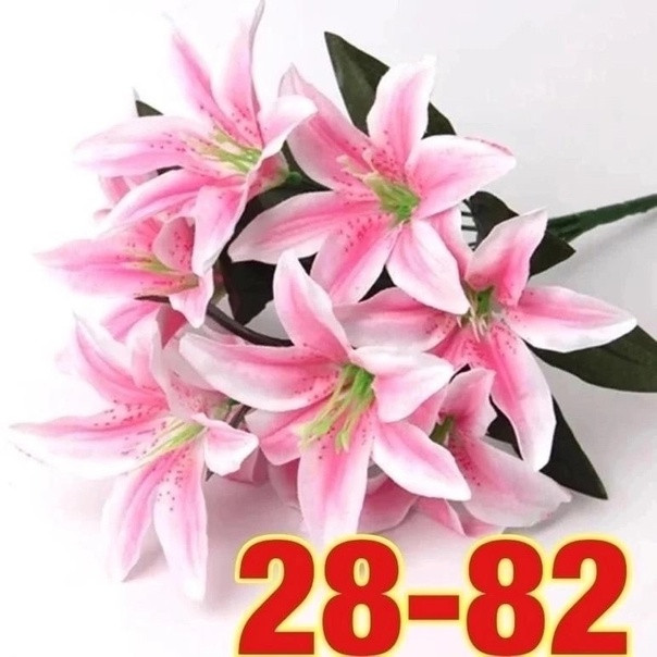 цветы купить в Интернет-магазине Садовод База - цена 1000 руб Садовод интернет-каталог