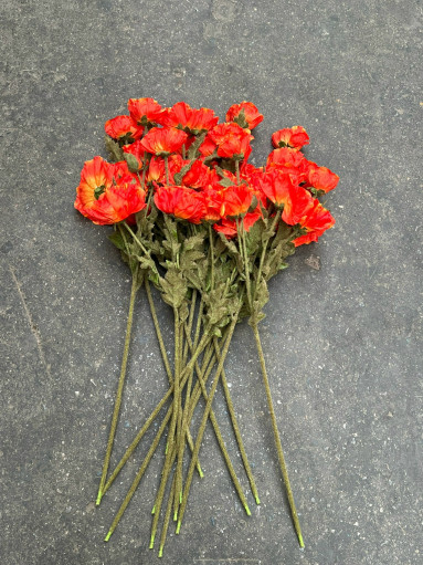 цветы САДОВОД официальный интернет-каталог