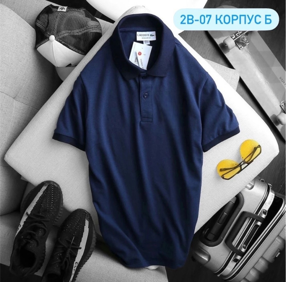 🎓футболка короткий рукав 🎓 купить в Интернет-магазине Садовод База - цена 350 руб Садовод интернет-каталог