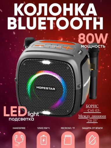 Колонка Hopestar Party One с двумя микрофонами САДОВОД официальный интернет-каталог