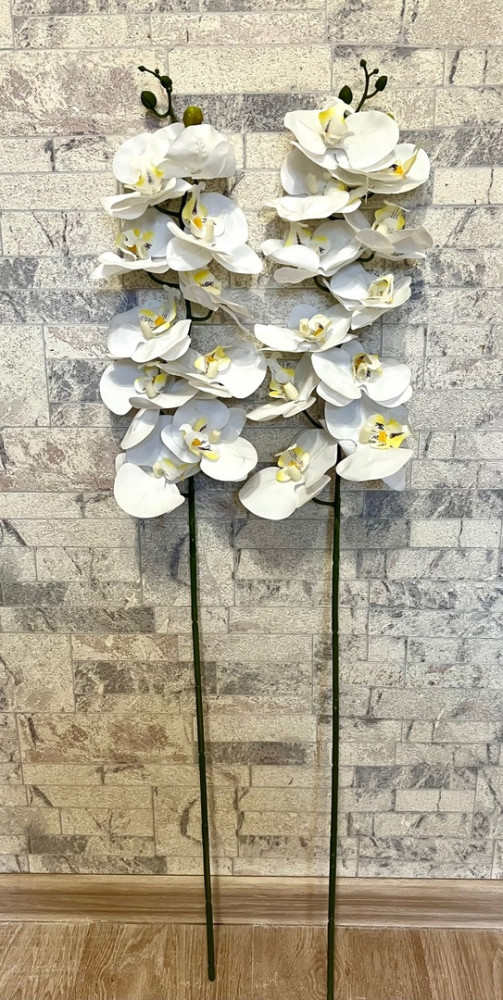 Орхидея ветка 10шт купить в Интернет-магазине Садовод База - цена 1000 руб Садовод интернет-каталог
