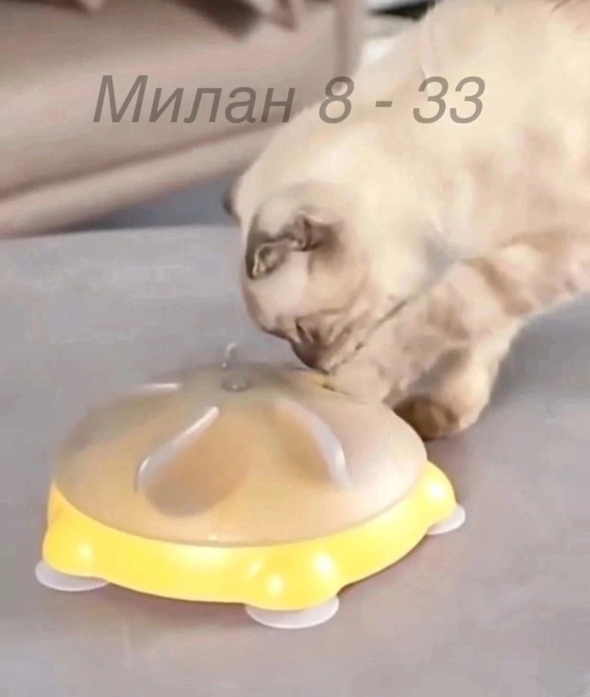 💥 Интерактивная Кормушка Для Кошек. купить в Интернет-магазине Садовод База - цена 250 руб Садовод интернет-каталог