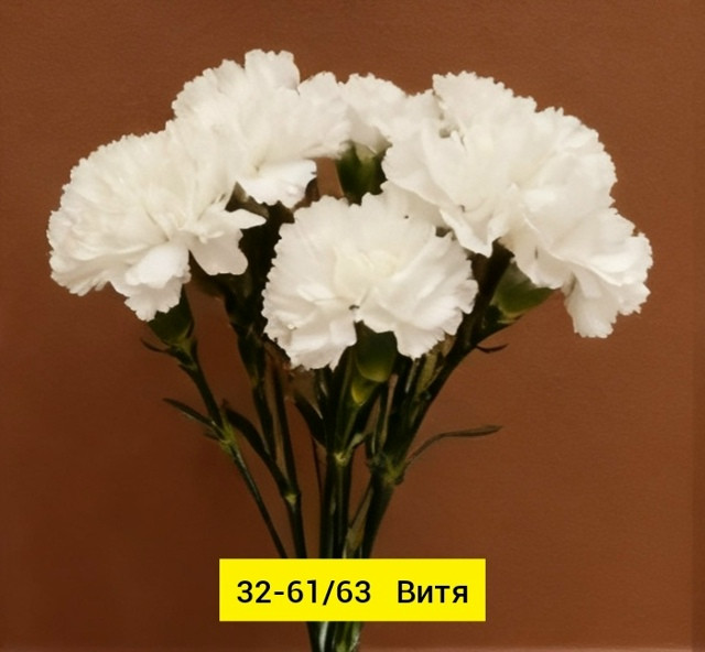 Искусственные цветы купить в Интернет-магазине Садовод База - цена 2200 руб Садовод интернет-каталог