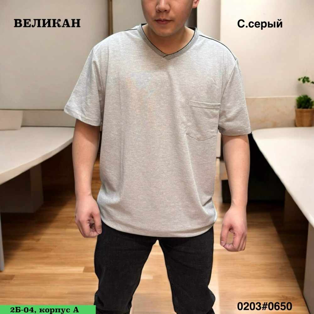 Футболка для мужчин, хлопок купить в Интернет-магазине Садовод База - цена 650 руб Садовод интернет-каталог