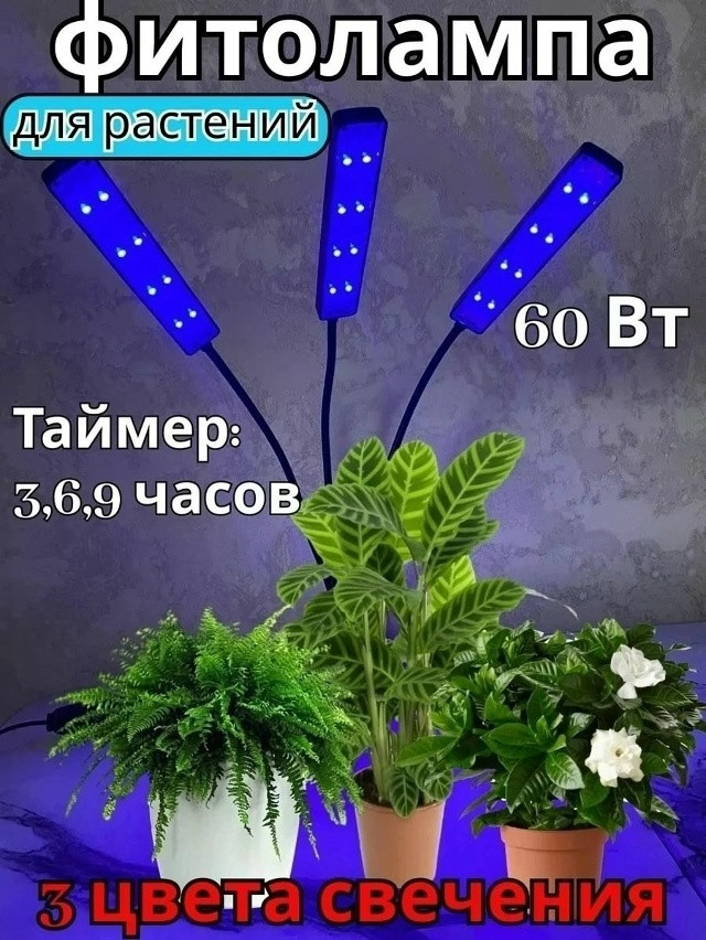 Фитолампа для растений купить в Интернет-магазине Садовод База - цена 650 руб Садовод интернет-каталог