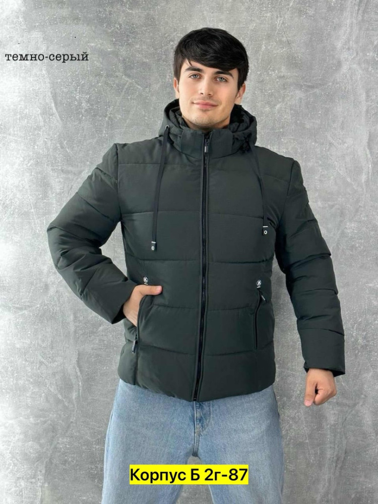 Куртка для мужчин, холлофайбер купить в Интернет-магазине Садовод База - цена 900 руб Садовод интернет-каталог
