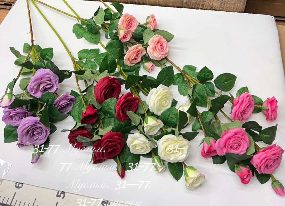 цветы купить в Интернет-магазине Садовод База - цена 5950 руб Садовод интернет-каталог