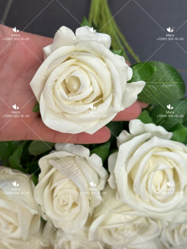 Роза белый САДОВОД официальный интернет-каталог