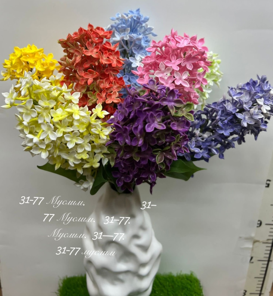 цветы купить в Интернет-магазине Садовод База - цена 3000 руб Садовод интернет-каталог