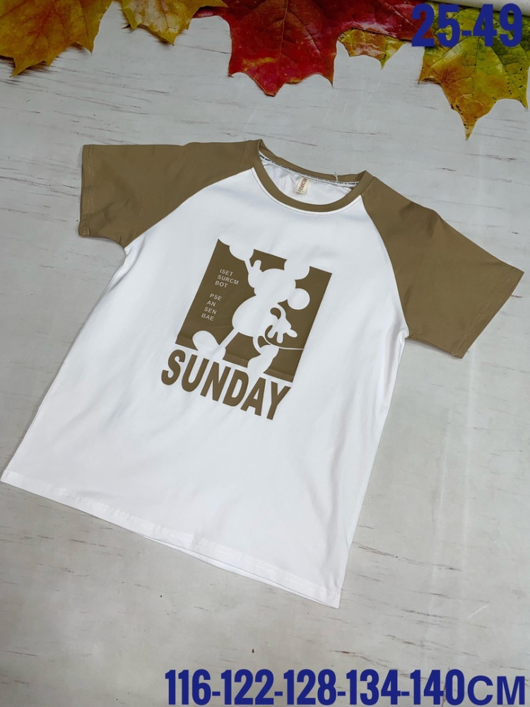 Детская футболка коричневая купить в Интернет-магазине Садовод База - цена 400 руб Садовод интернет-каталог