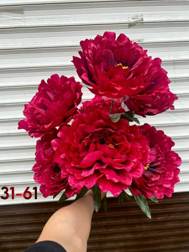 цветы САДОВОД официальный интернет-каталог