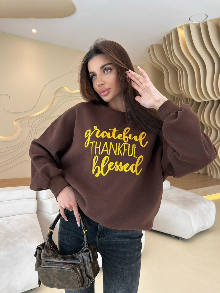 свитшот коричневый купить в Интернет-магазине Садовод База - цена 1000 руб Садовод интернет-каталог