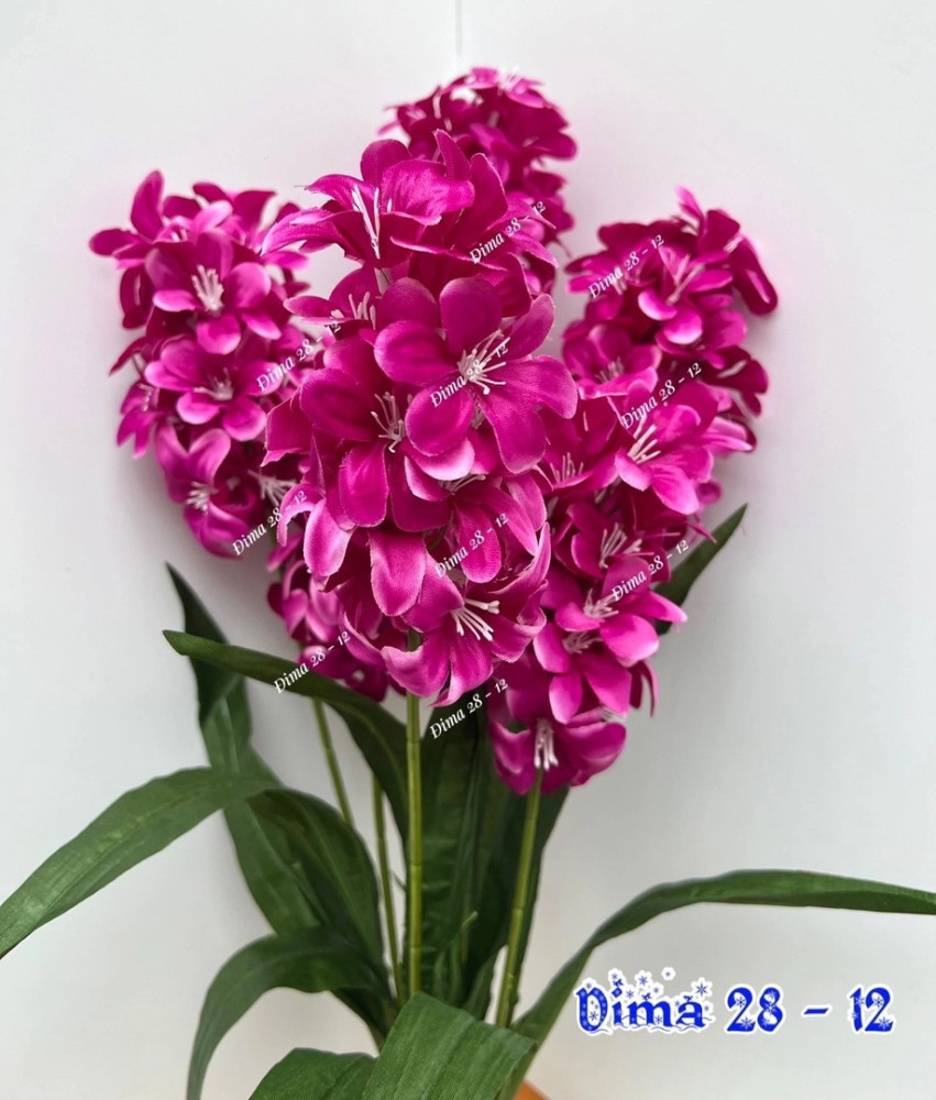 цветы купить в Интернет-магазине Садовод База - цена 1750 руб Садовод интернет-каталог