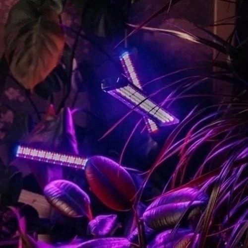 Фитолампа для растений купить в Интернет-магазине Садовод База - цена 650 руб Садовод интернет-каталог