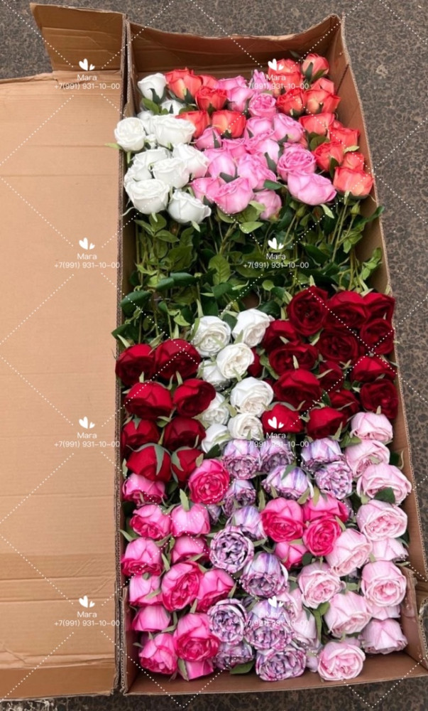 Силиконовый розы купить в Интернет-магазине Садовод База - цена 4400 руб Садовод интернет-каталог