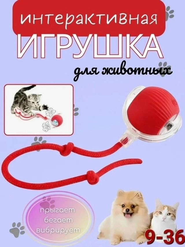 Игрушка для кошек купить в Интернет-магазине Садовод База - цена 150 руб Садовод интернет-каталог