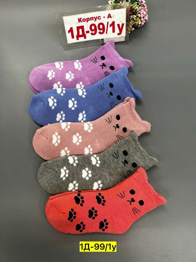 Носки разноцветныйые купить в Интернет-магазине Садовод База - цена 300 руб Садовод интернет-каталог