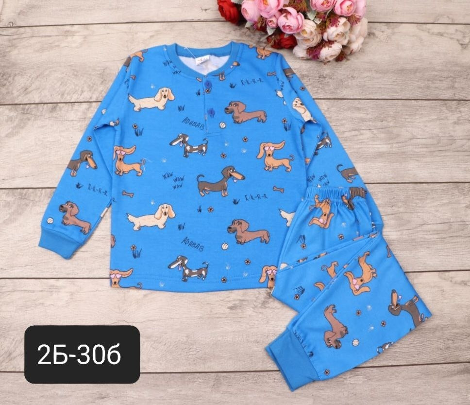 Пижама, флис купить в Интернет-магазине Садовод База - цена 250 руб Садовод интернет-каталог