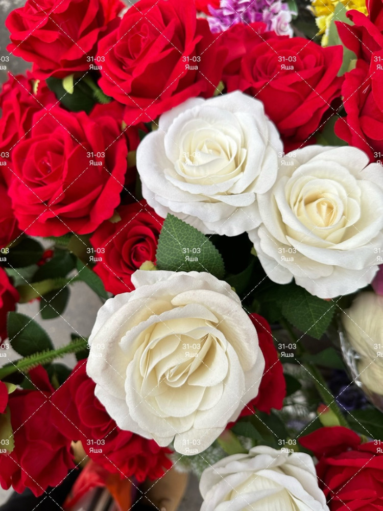 белая роза купить в Интернет-магазине Садовод База - цена 50 руб Садовод интернет-каталог