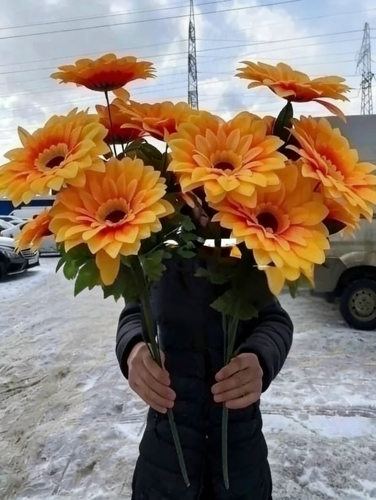 цветы купить в Интернет-магазине Садовод База - цена 2100 руб Садовод интернет-каталог