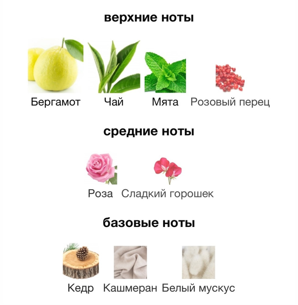 Аромат купить в Интернет-магазине Садовод База - цена 1800 руб Садовод интернет-каталог