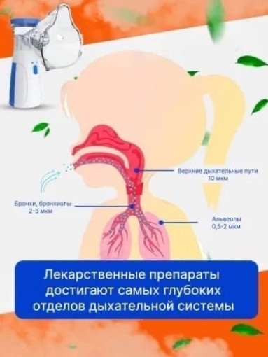 V-BBFA2406020330 САДОВОД официальный интернет-каталог