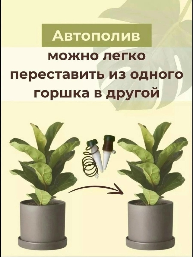 Автополив для комнатных растений и теплиц купить в Интернет-магазине Садовод База - цена 100 руб Садовод интернет-каталог