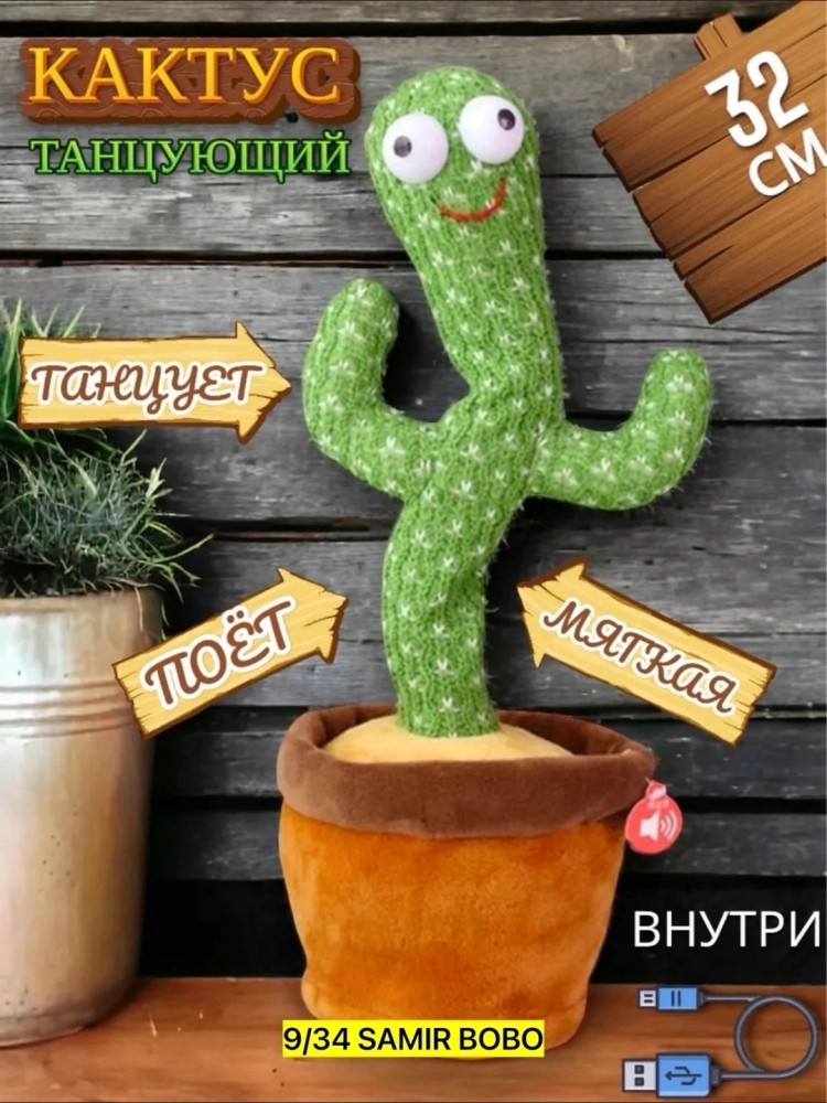 Танцующий кактус купить в Интернет-магазине Садовод База - цена 200 руб Садовод интернет-каталог