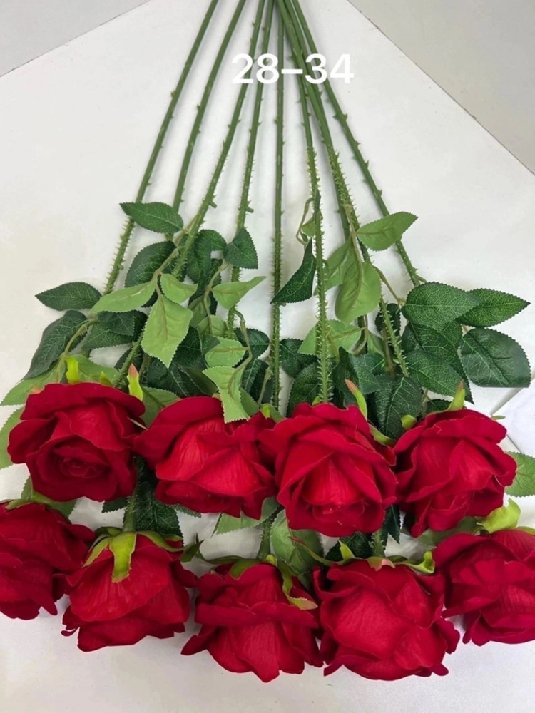 Роза купить в Интернет-магазине Садовод База - цена 500 руб Садовод интернет-каталог
