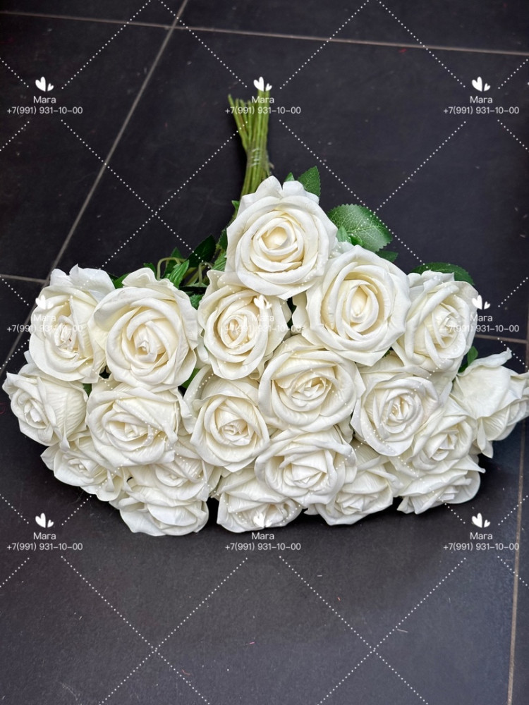 Роза белый купить в Интернет-магазине Садовод База - цена 4800 руб Садовод интернет-каталог